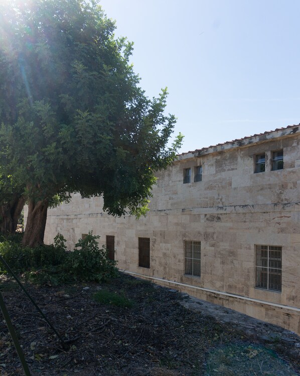 A building with a stone facade, multiple windows, and a large tree in front.