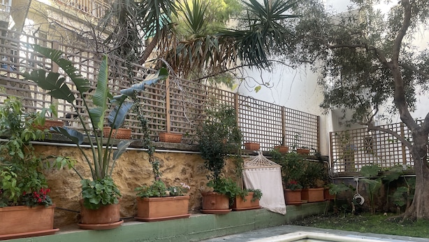 Una piscina rodeada de plantas en macetas y una valla de madera.