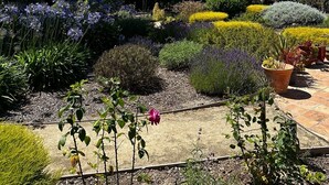 A garden with various plants and flowers, a pathway, and trees. - CARMEL OASIS-Gorgeous Views 4 Bedroom 2.5- EXCEPTIONAL RATINGS (Carmel-By-The-Sea)