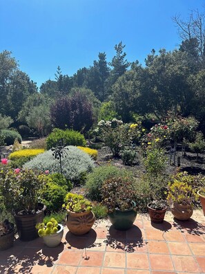 Overnatningsstedets område