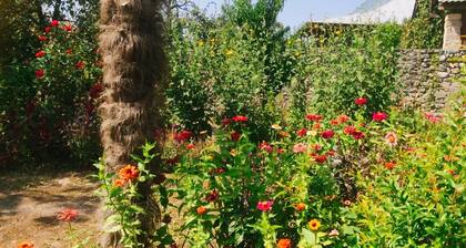 Charmant house with beautiful garden