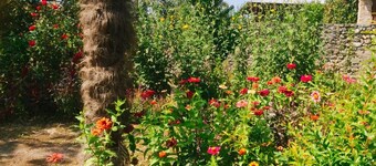 Casa di charme con bellissimo giardino