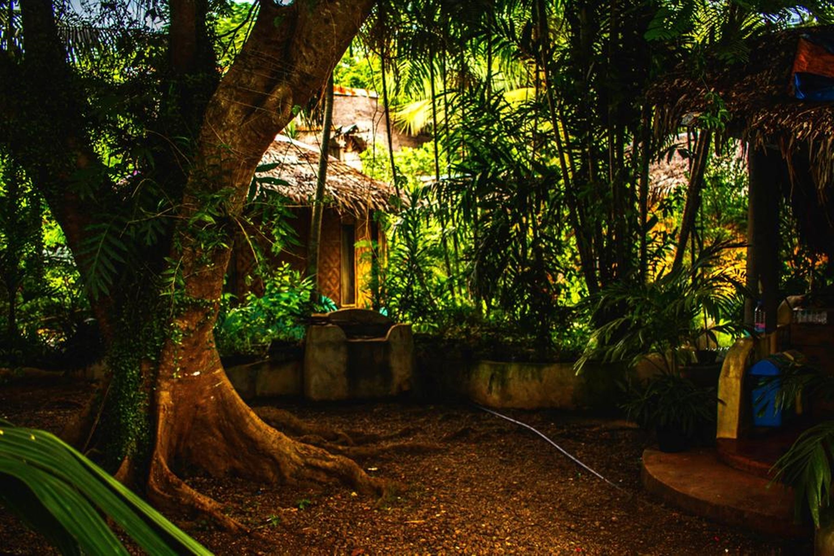 Áreas de la propiedad