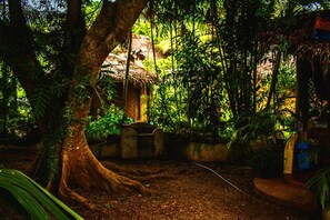 Property grounds - Lennon's Place Backpacker Hostel (Panglao)