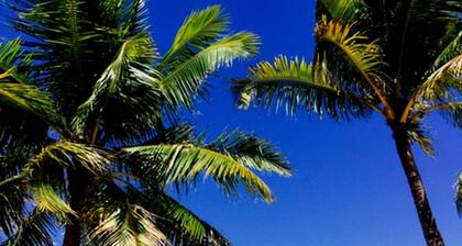 Lennon's Place Backpacker Hostel