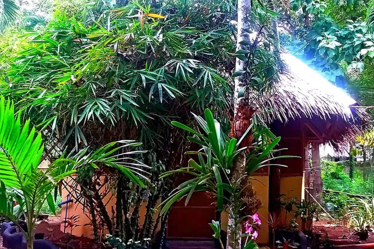 Comfort Double Room, 1 Bedroom | Exterior