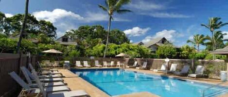 A swimming pool with lounge chairs and palm trees in the background.