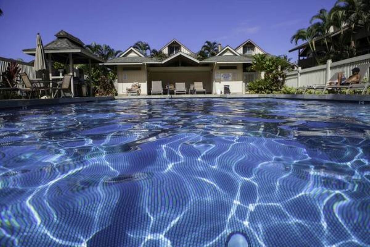 Une piscine à l’eau claire, des chaises longues et un espace de détente couvert avec vue sur les palmiers.