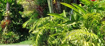 Romantic Chalet in Trancoso - sleeps up to 3 people