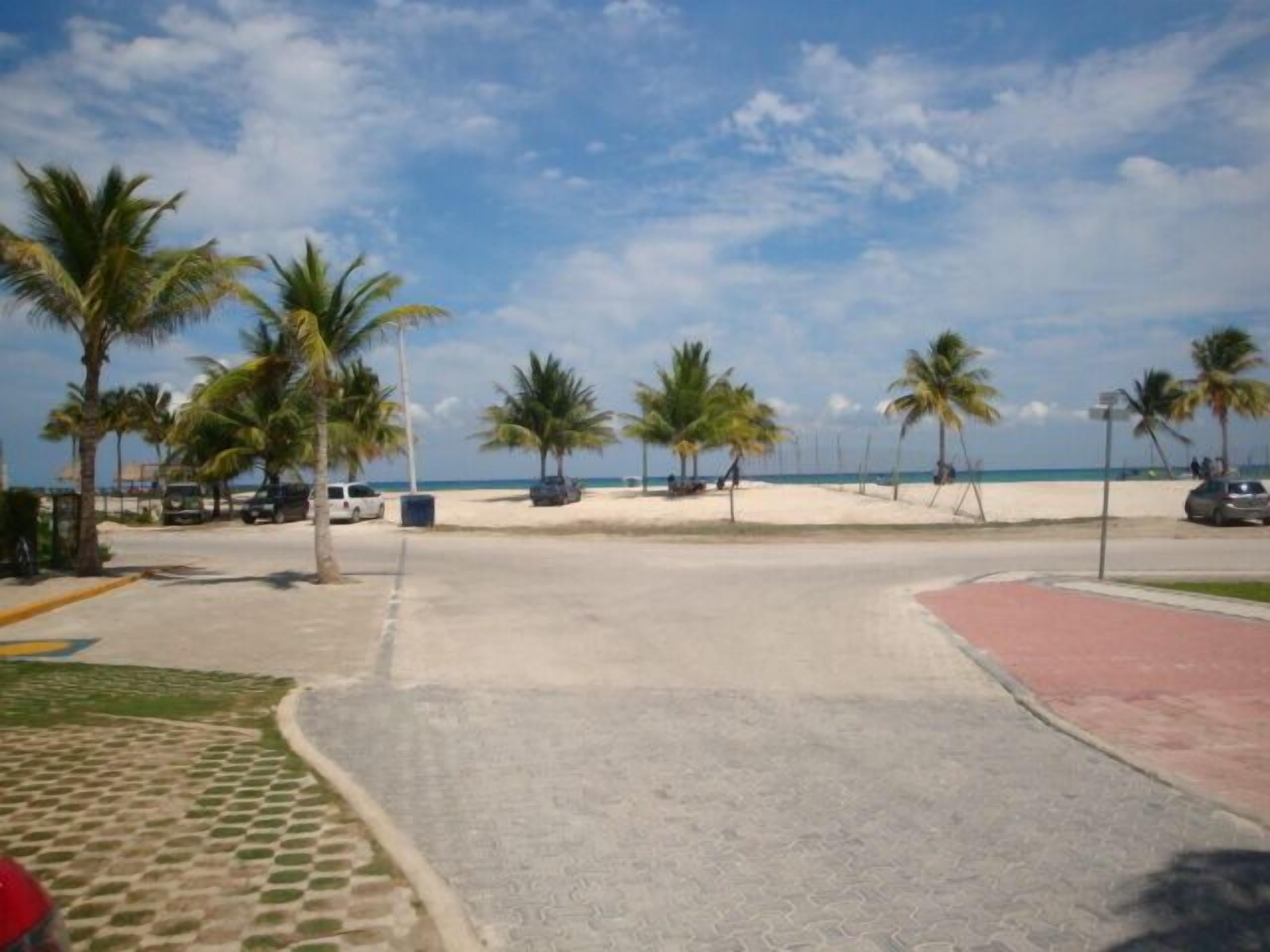 A beachside road with palm trees, a sandy beach, and a clear blue sky.