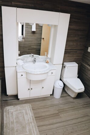 Combined shower/bathtub, hair dryer, towels
