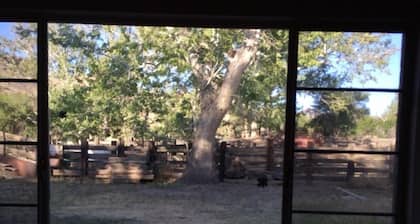 Estudio cómodo, tranquilo y remoto en un rancho de trabajo en el sur de Arizona