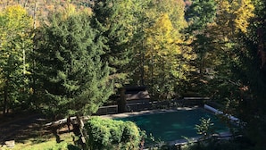Une piscine entourée d’une forêt dense, avec une montagne en toile de fond.