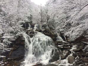Ein Wasserfall, umgeben von schneebedeckten Bäumen.