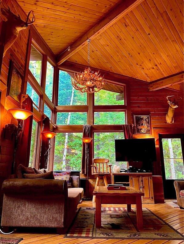 TV connectée, cheminée, lecteur de DVD, livres