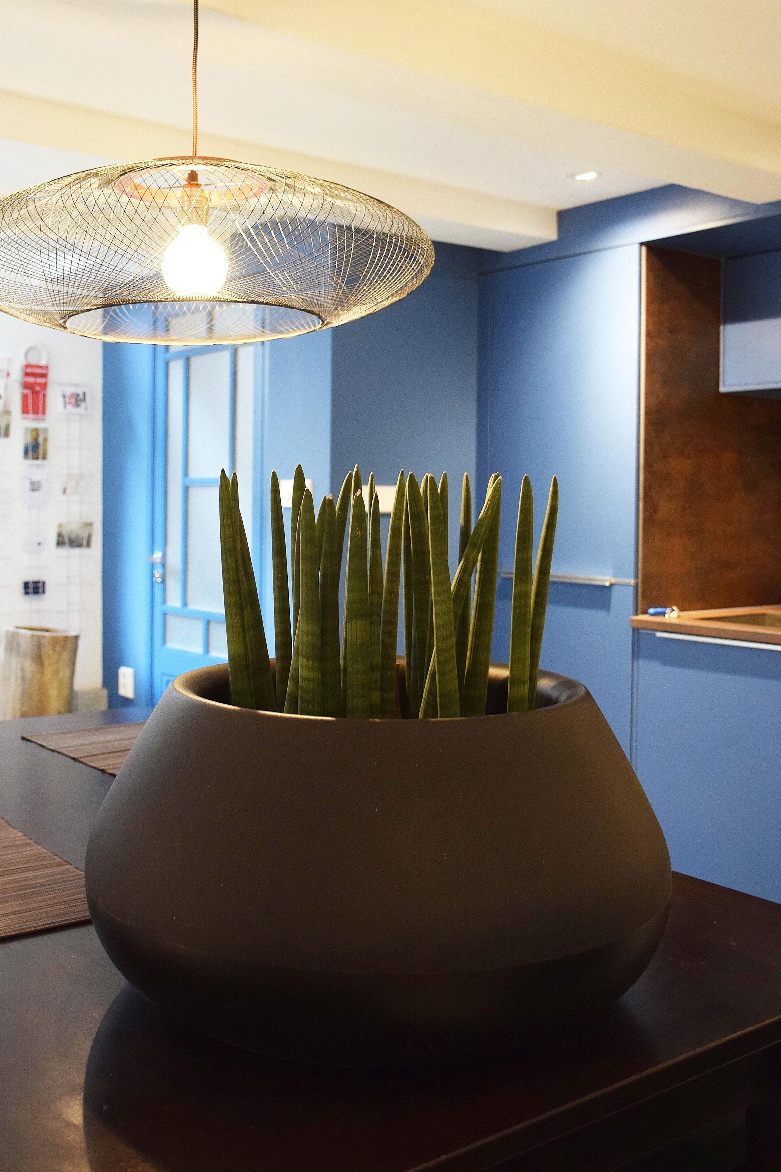 Un interior moderno con una planta grande en maceta bajo una lámpara colgante.