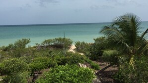 A beach with a clear view of the ocean, surrounded by dense greenery and a palm tree. - Villa La Siesta (Hunucmá)