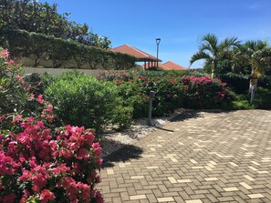 Property grounds - Top floor apartment TripleTree 23,fantastic views ocean and golf (Blue Bay)