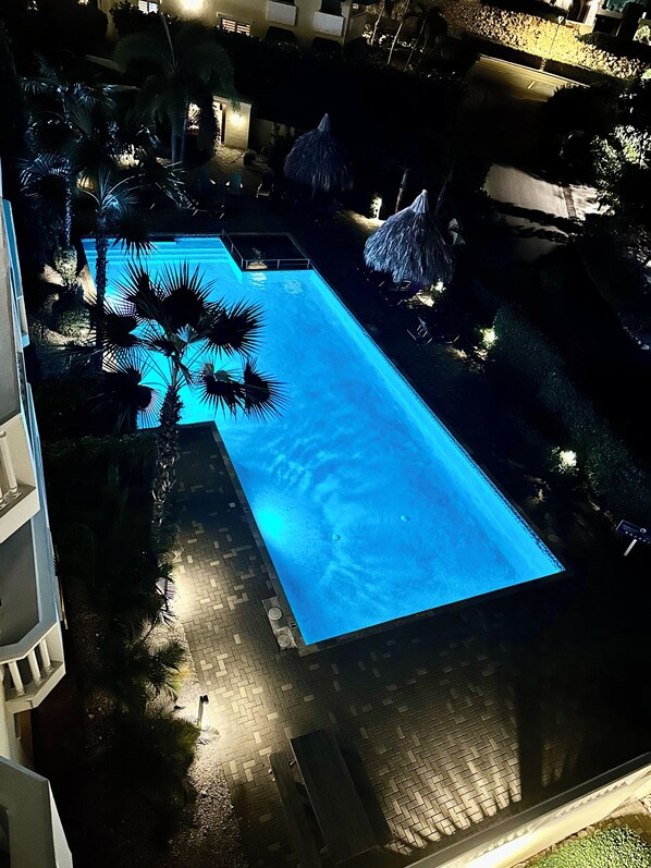 An aerial view of a swimming pool surrounded by palm trees and a brick pathway.