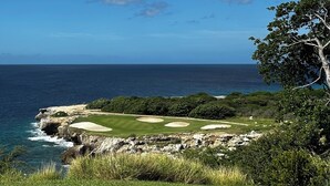 Un parcours de golf situé sur la côte, offrant une vue dégagée sur l’océan et bordé d’un arbre sur la droite.
