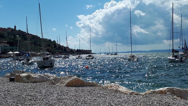 A marina with boats docked, rocky shore, and buildings in the background.