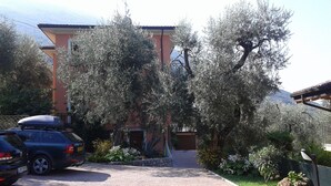 A building with a red facade, surrounded by olive trees and a paved driveway.