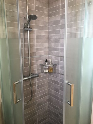 Shower, hair dryer, towels, soap
