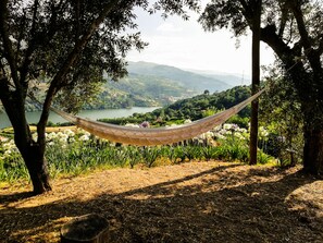 Property grounds - Casa da Mouta - Douro Valley (Santa Cruz do Douro)