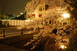 Enceinte de l’hébergement