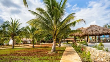 Jardim