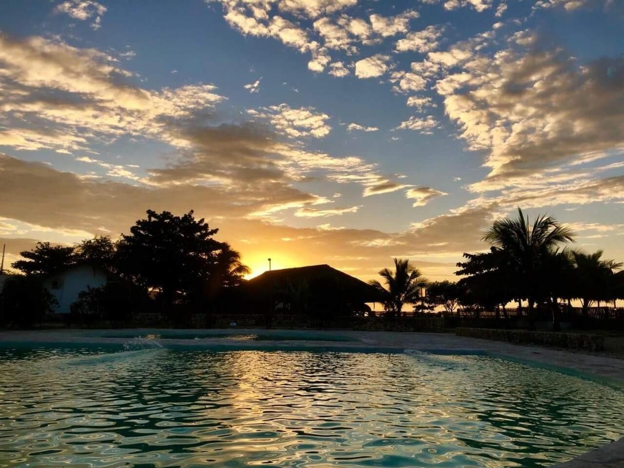 2 室外游泳池，日光浴躺椅