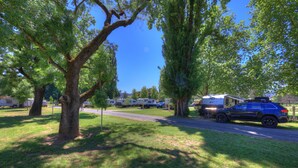 Exterior detail - Myrtleford Holiday Park (Myrtleford)