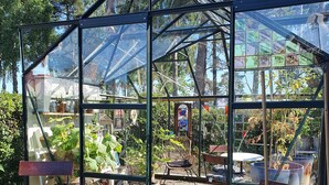 A greenhouse with a glass roof, wooden benches, and potted plants.