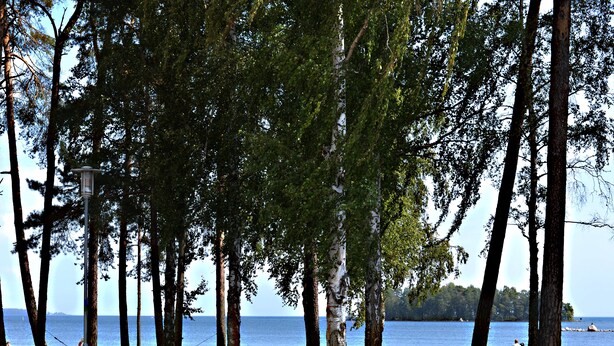 A park with a hammock, a bench, and a lake view.