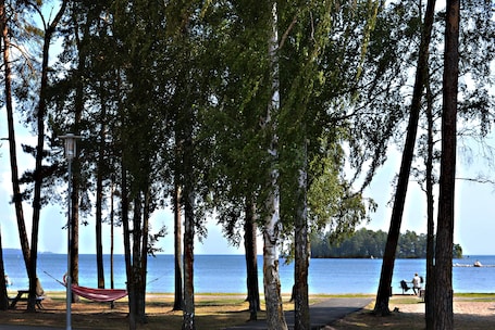 Vista desde la propiedad