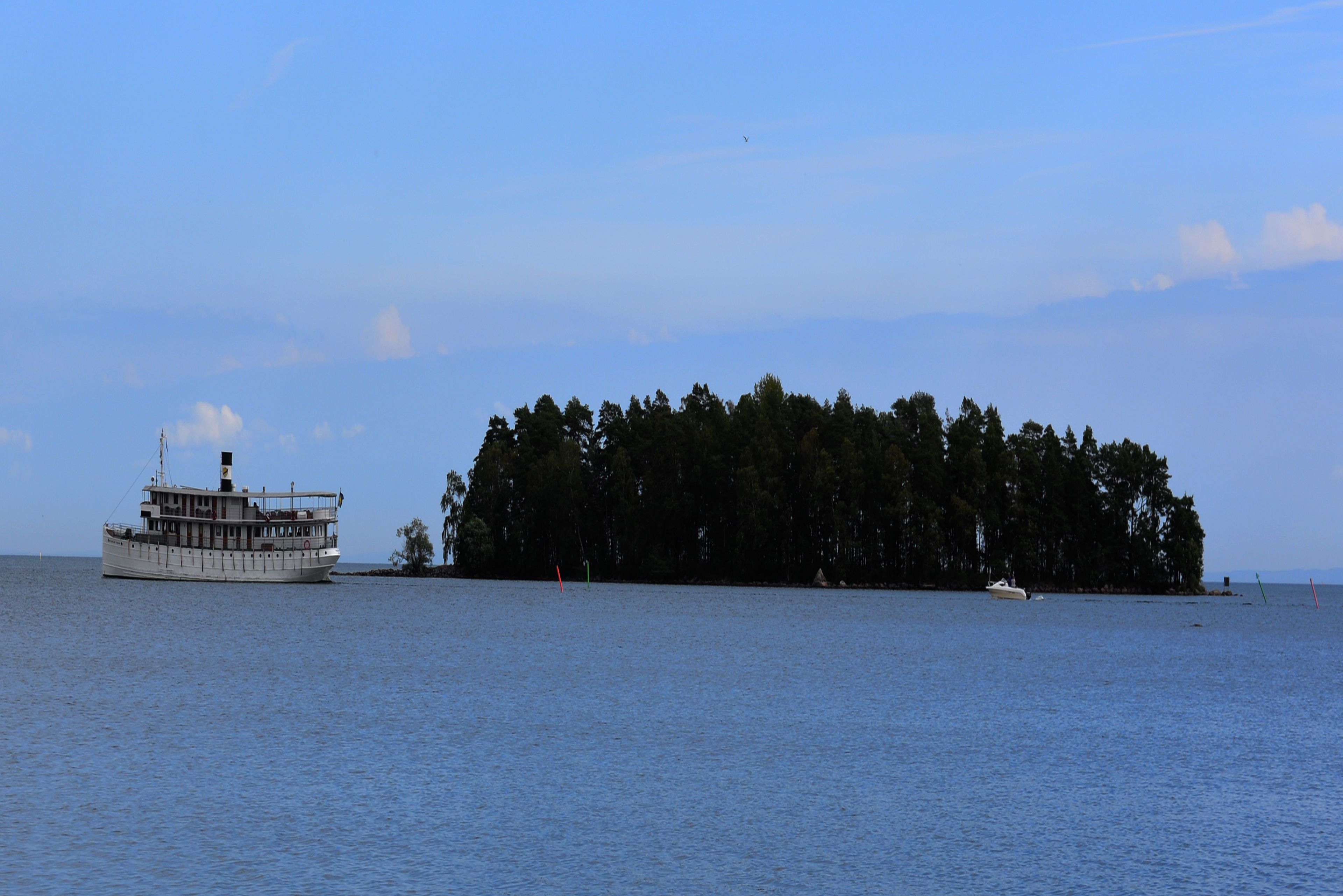 Un gran barco de ferry sobre aguas tranquilas, con una isla boscosa al fondo.