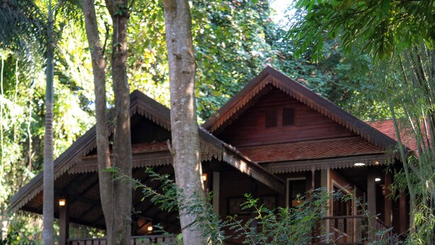 Ein rustikales Holzhaus mit einem Strohdach, umgeben von üppiger Vegetation und einem Kopfsteinpflasterweg.
