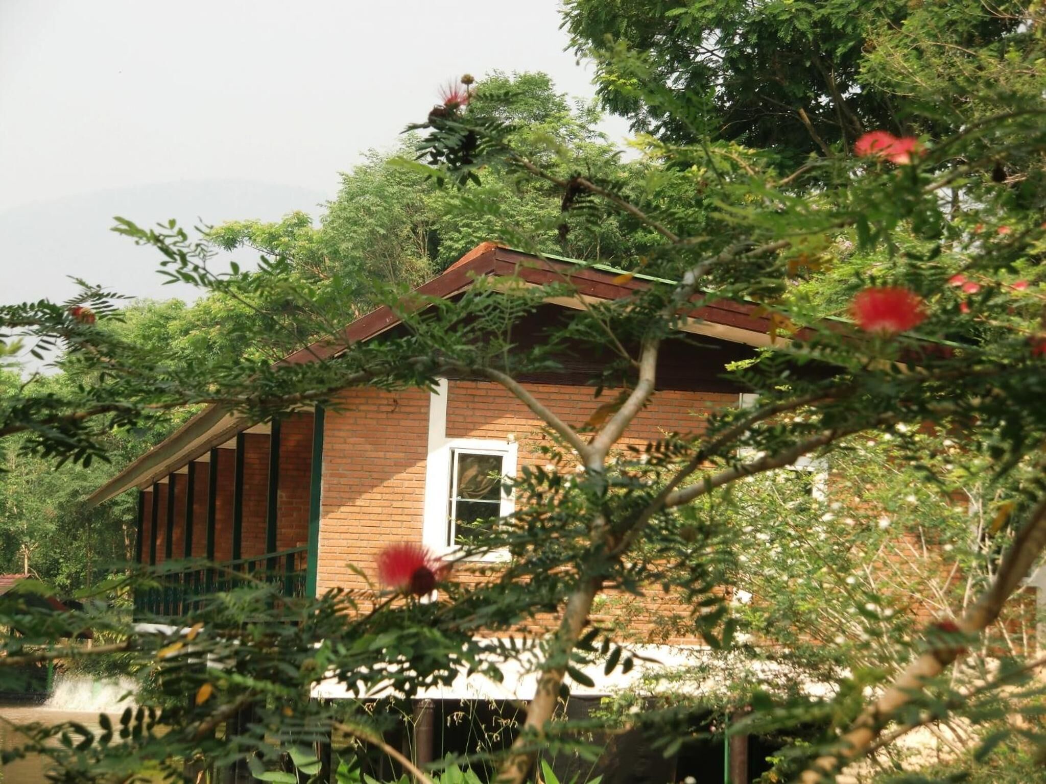 A brick house with a sloped roof, surrounded by dense greenery and trees.