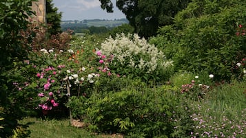 Tuin