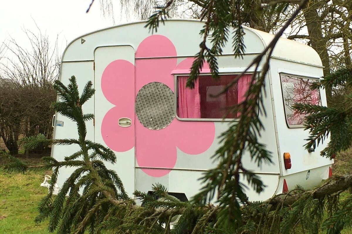 Een witte camper met een grote roze bloemstickers op de zijkant, geparkeerd in een grasrijke omgeving met bomen.
