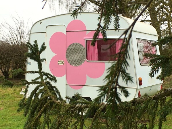 Husvogn (Caravan, Lorry, Hut and Tents) | Wi-fi (inkludert)