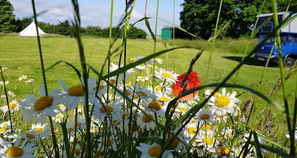 Glamping Thorpe