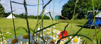 Glamping Thorpe