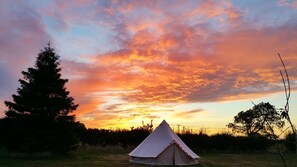 Husvogn (Caravan, Lorry, Hut and Tents) | Wi-fi (inkludert)