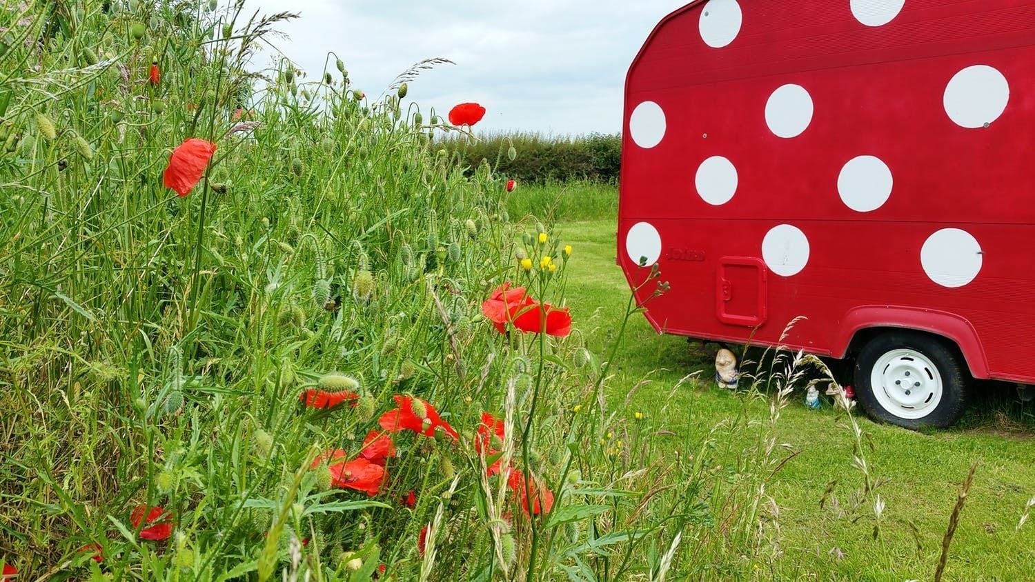 Party Field (Caravan, Lorry, Hut and Tents) | Free WiFi