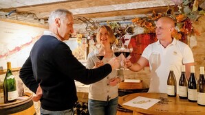 Um grupo de pessoas brindando com taças de vinho em uma adega rústica, com barris e garrafas de vinho de madeira.