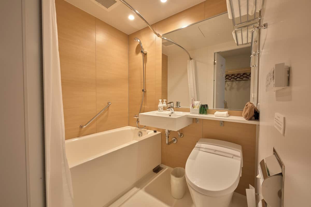 combined shower/bathtub, free toiletries, hair dryer, slippers