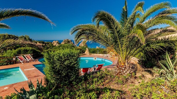A pool area with lounge chairs, palm trees, and a view of the ocean. - Villetta Ginepro Rosso (Trinità d'Agultu e Vignola)