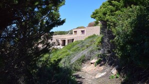 A stone building with a pathway leading to it, surrounded by dense greenery.