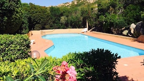 A swimming pool surrounded by lush greenery and a clear view of a mountainous landscape.